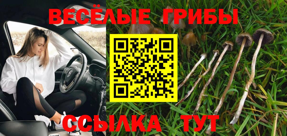 Галлюциногенные грибы мухоморы Фролово